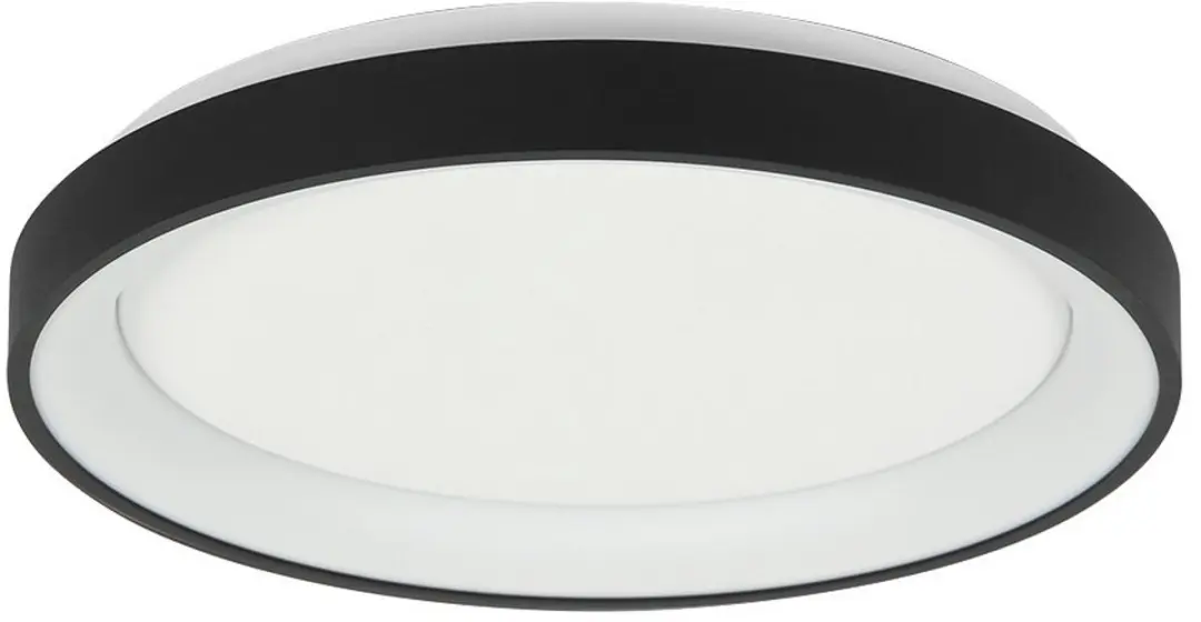 Steinhauer Plafondlamp Ringlede 3690ZW