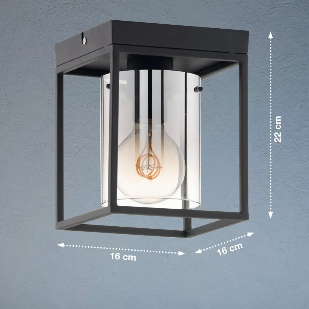Fischer & Honsel Samu Plafondlamp 1xE27 - Zwart met rookglas
