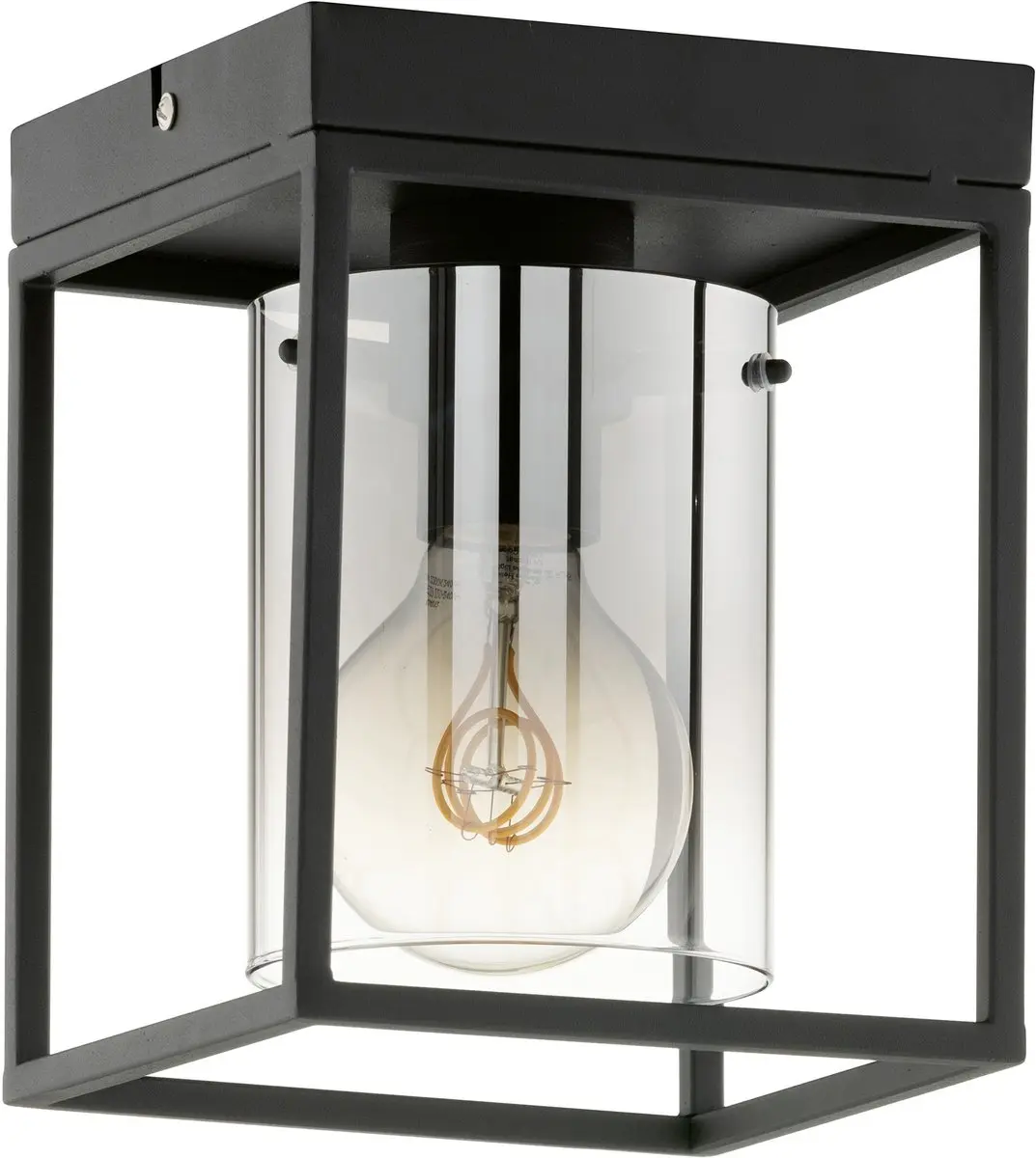 Fischer & Honsel Samu Plafondlamp 1xE27