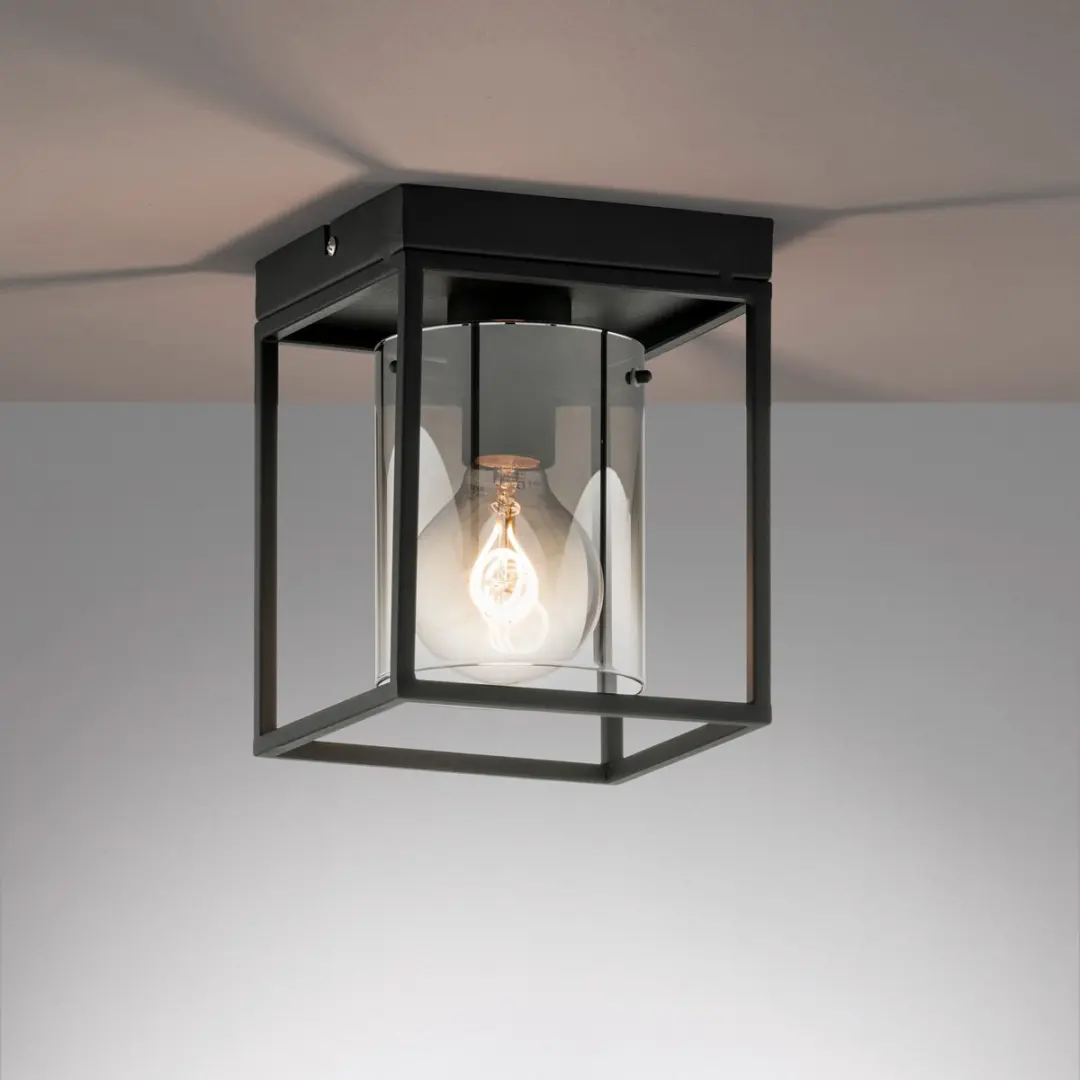 Fischer & Honsel Samu Plafondlamp 1xE27 - Zwart met rookglas