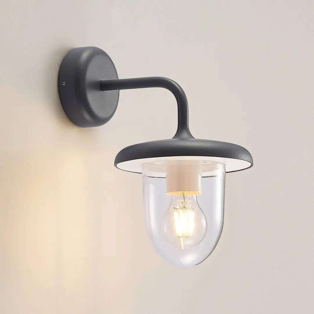 PRIOS Wandlamp Buiten 1 Licht E27