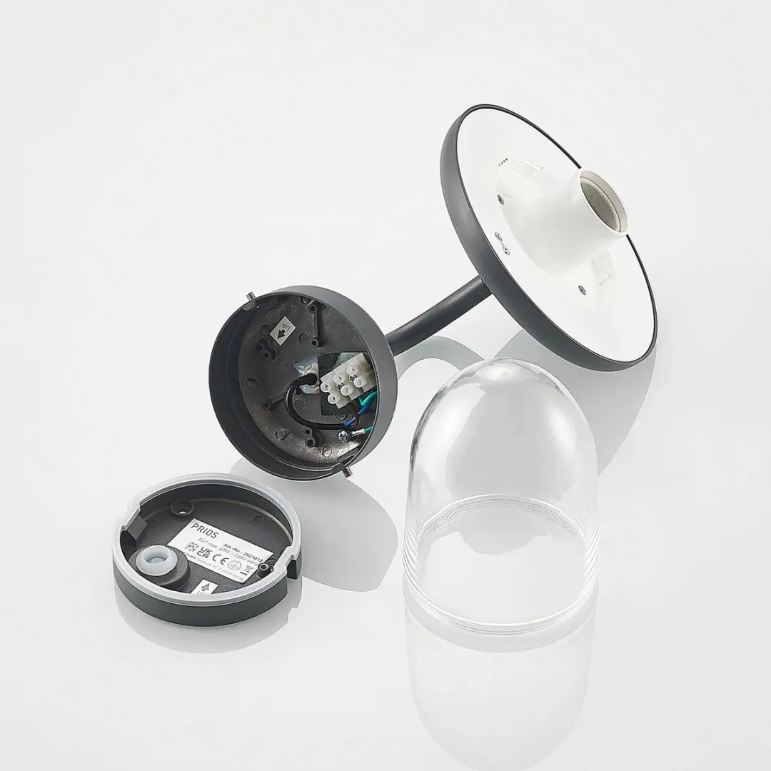 PRIOS Wandlamp Buiten 1 Licht E27 - Donkergrijs - afbeelding 6 van 6