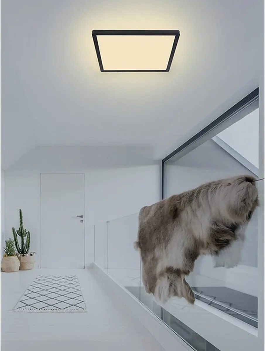 Globo Sapana LED Plafonnière - Zwart - afbeelding 6 van 6