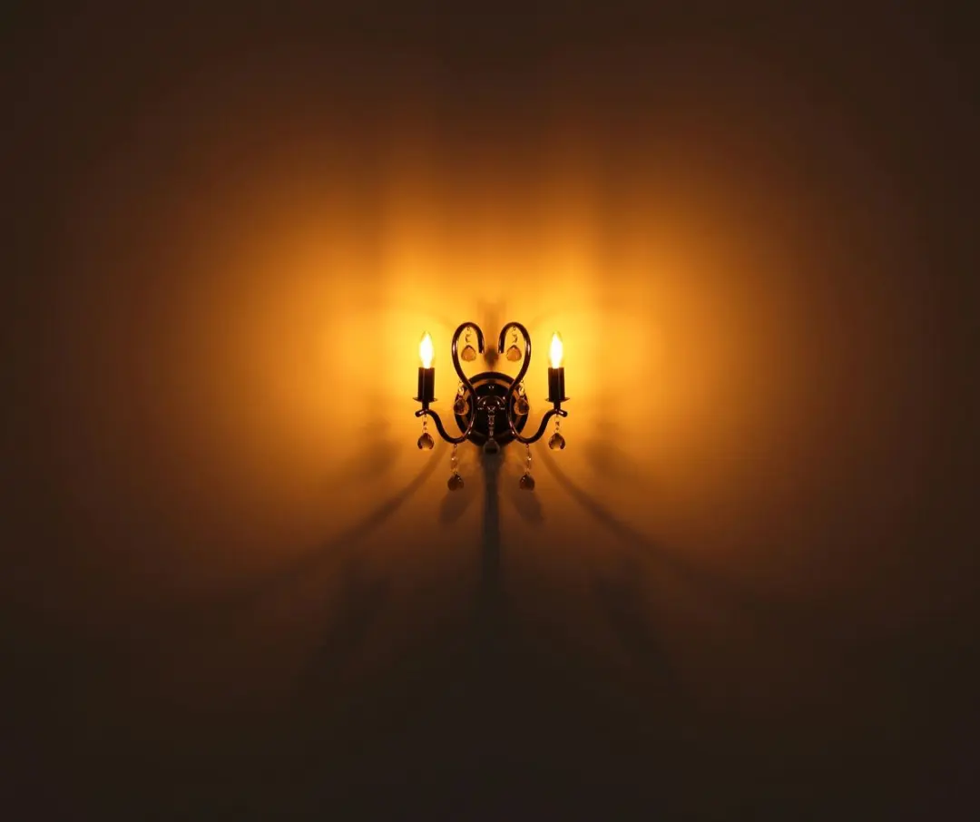 Globo Camila Wandlamp Antraciet - 2 Lichtpunten