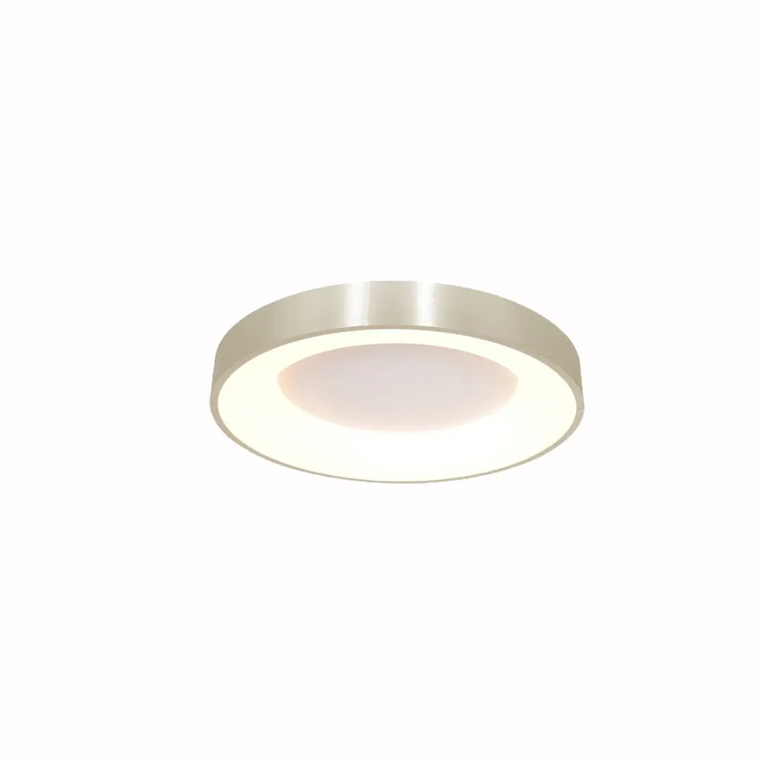 Steinhauer Plafondlamp Ringlede 3086ZI