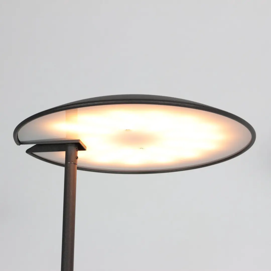 Steinhauer Daphne 2 Vloerlamp - 2x30W 2200K Zwart