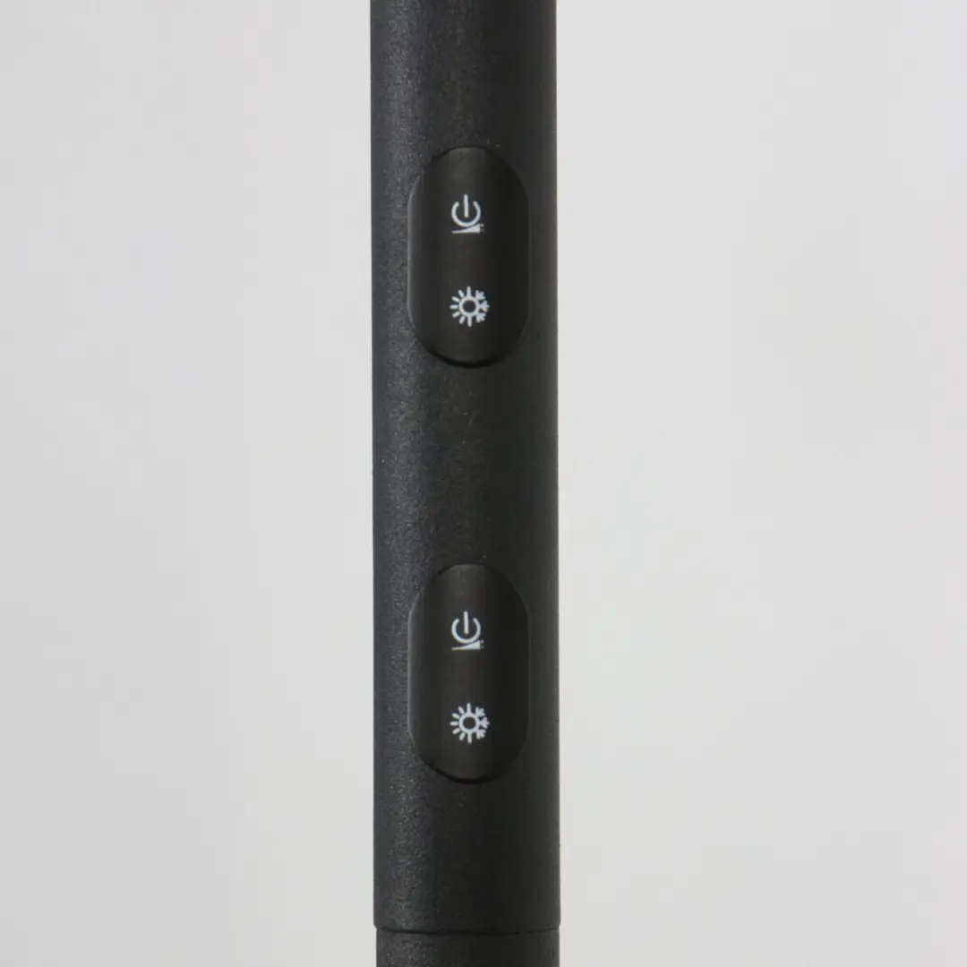 Steinhauer Daphne 2 Vloerlamp - 2x30W 2200K Zwart