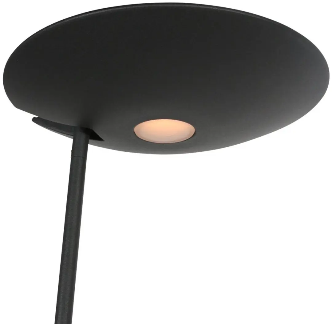 Steinhauer Daphne 2 Vloerlamp - 2x30W 2200K Zwart