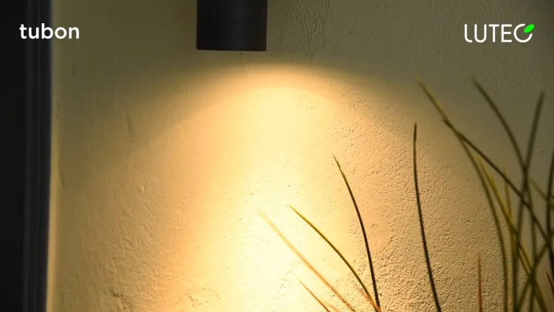 Lutec Stela Wandlamp LED 14W - Donkergrijs