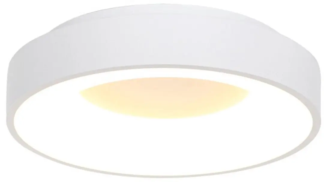 Steinhauer Plafondlamp Ringlede 3086W