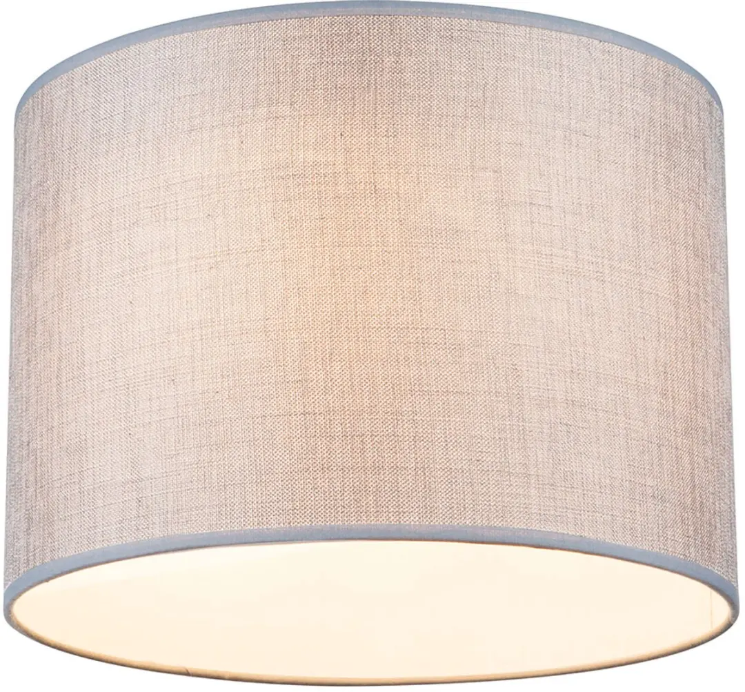 Globo 24689D Plafondlamp