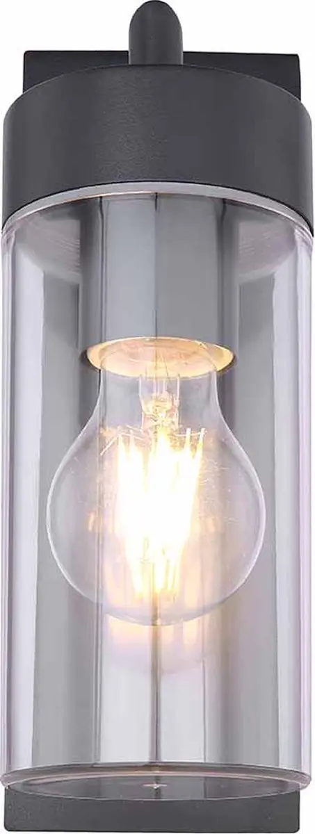 Globo Vessa Wandlamp 9cm - Antraciet