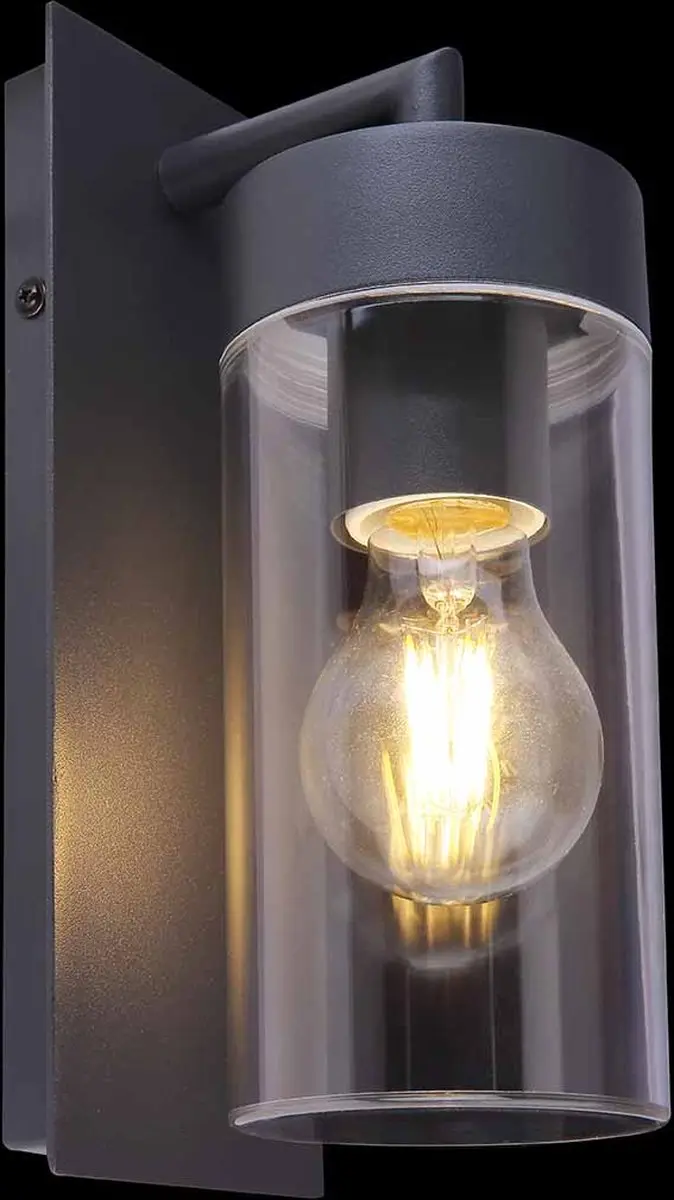 Globo Vessa Wandlamp 9cm - Antraciet
