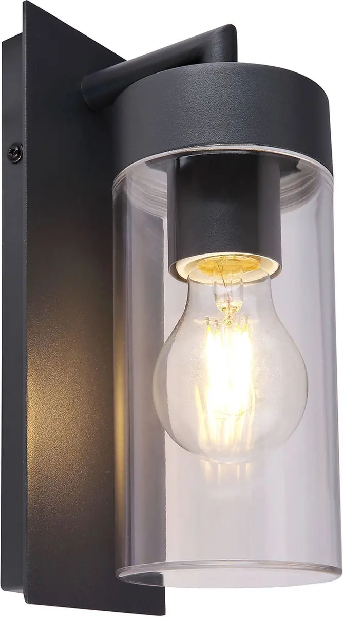 Globo Vessa Wandlamp 9cm