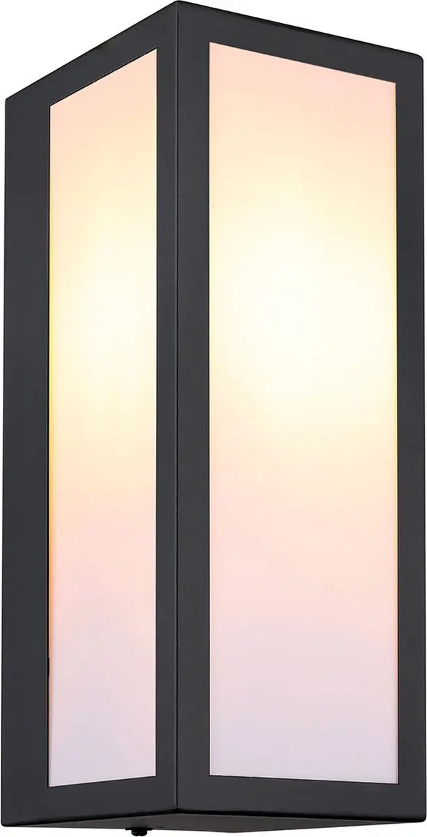 Globo Wandlamp Gundula 31980O