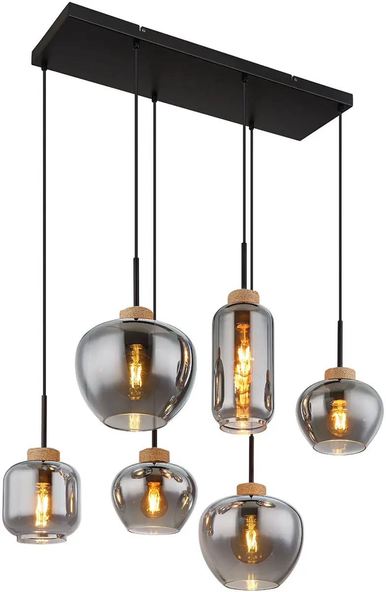 Globo Hanglamp 15549-6H
