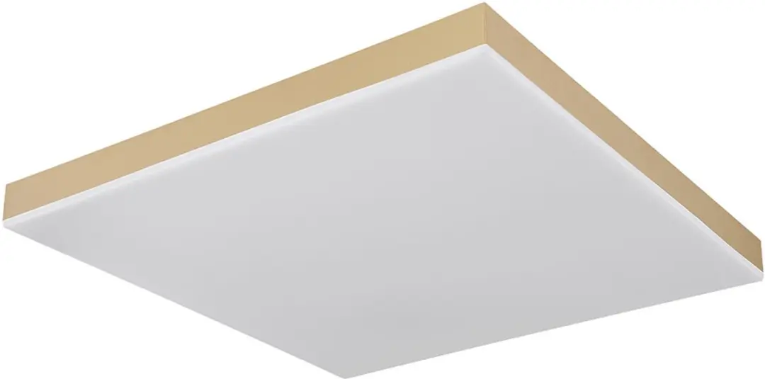 Globo Plafondlamp 24W LED