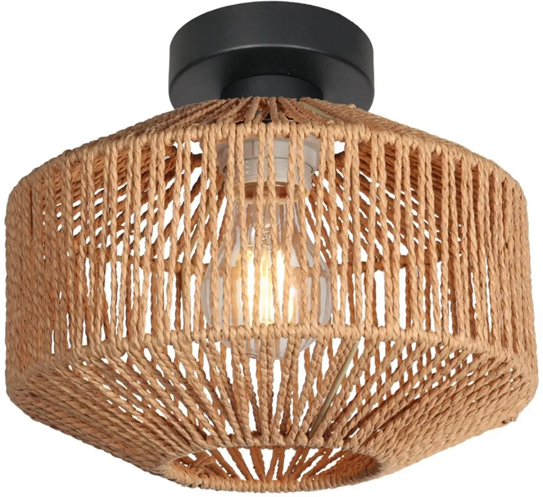 Steinhauer Bloeba Plafondlamp E27