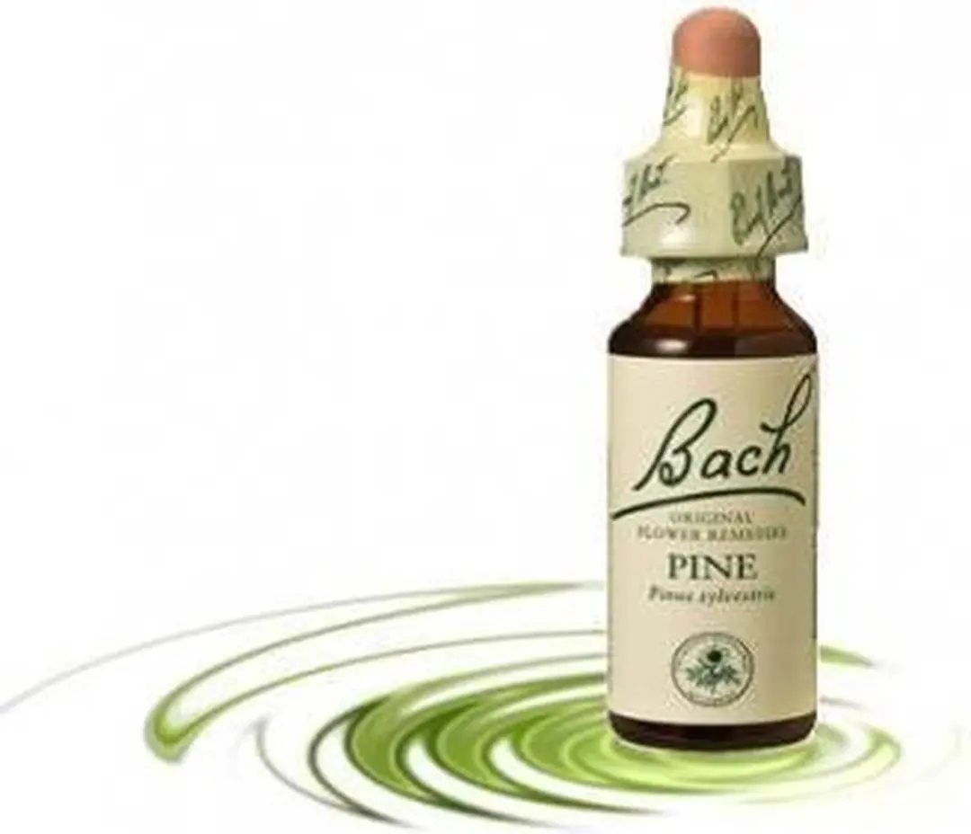 Pine/Den Bach