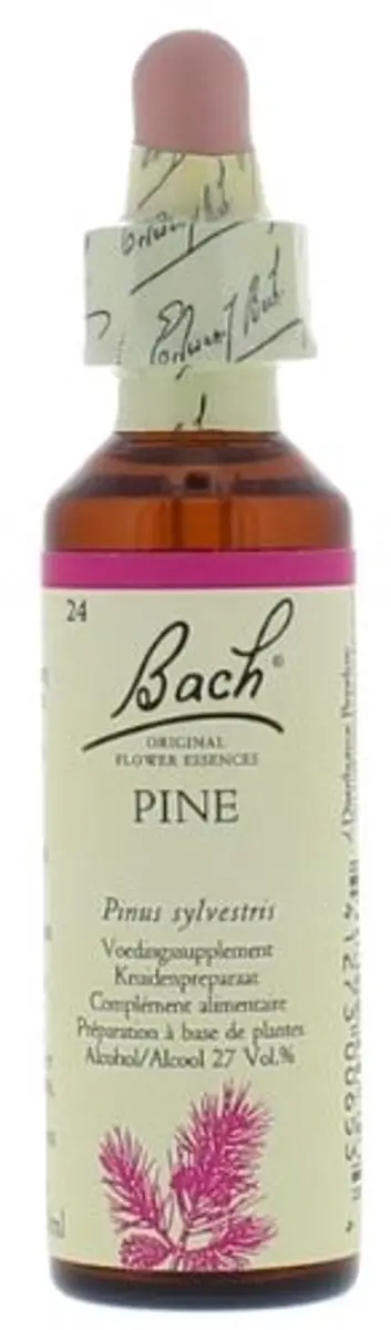 Pine/Den Bach