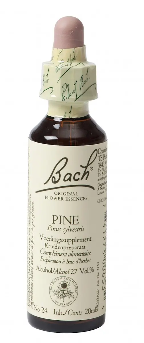 Pine/Den Bach