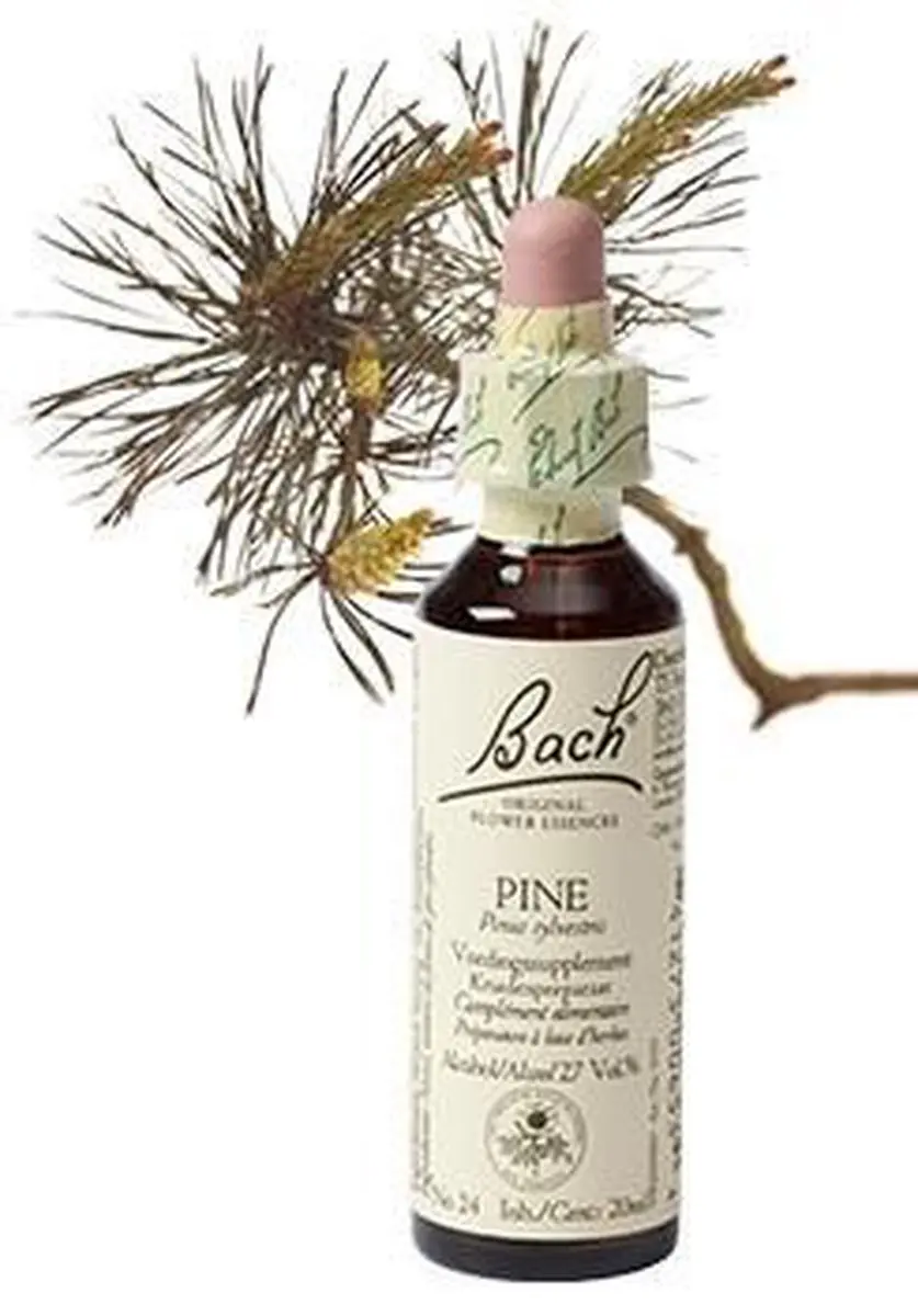 Pine/Den Bach