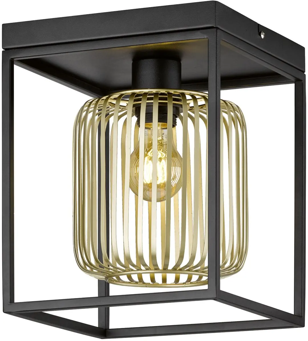Fischer & Honsel Caydo Plafondlamp 1xE27