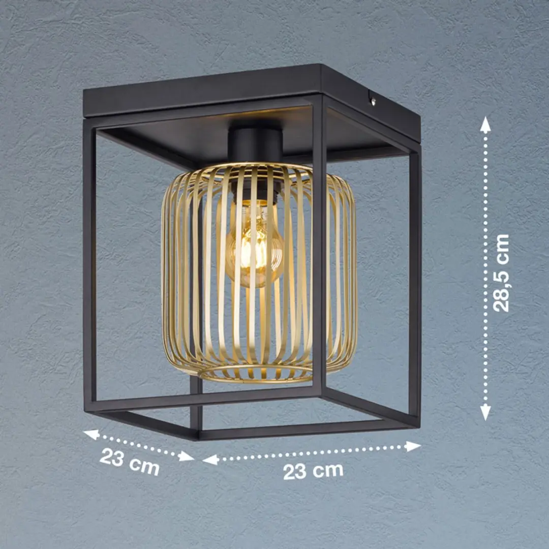 Fischer & Honsel Caydo Plafondlamp 1xE27 - 23x23x28.5cm - Zwart/Goud - afbeelding 6 van 6