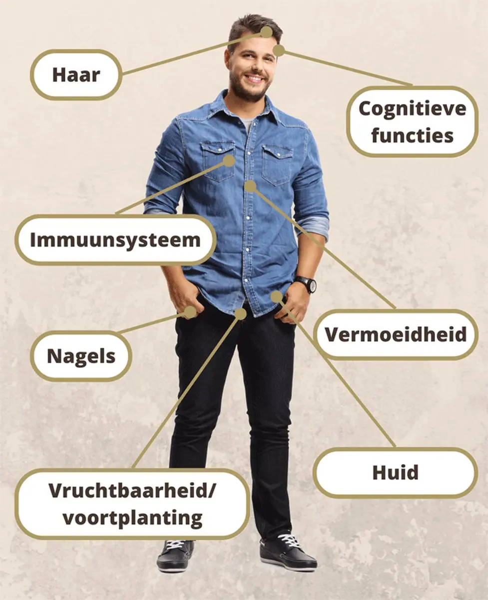 Golden Naturals Multiple Zink 25mg - 90 Veganistische Tabletten