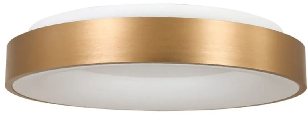 Steinhauer Plafondlamp Ringlede 3086GO