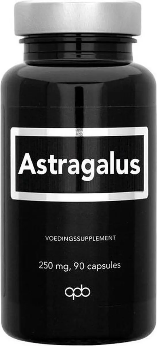 APB Holland Astragalus 90 Vcaps - 360mg