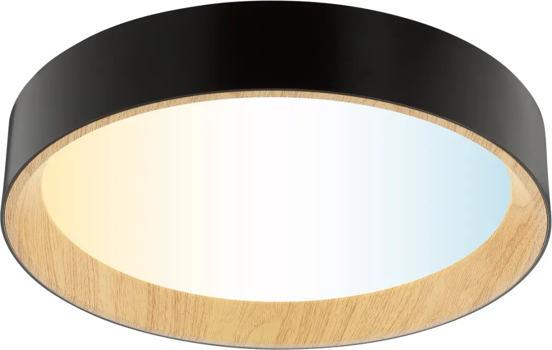 Brilliant Larios Plafondlamp 9.2W