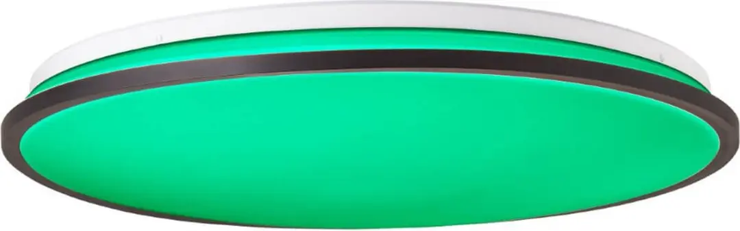 Brilliant Heida Plafondlamp RGB Ø49cm - Zwart