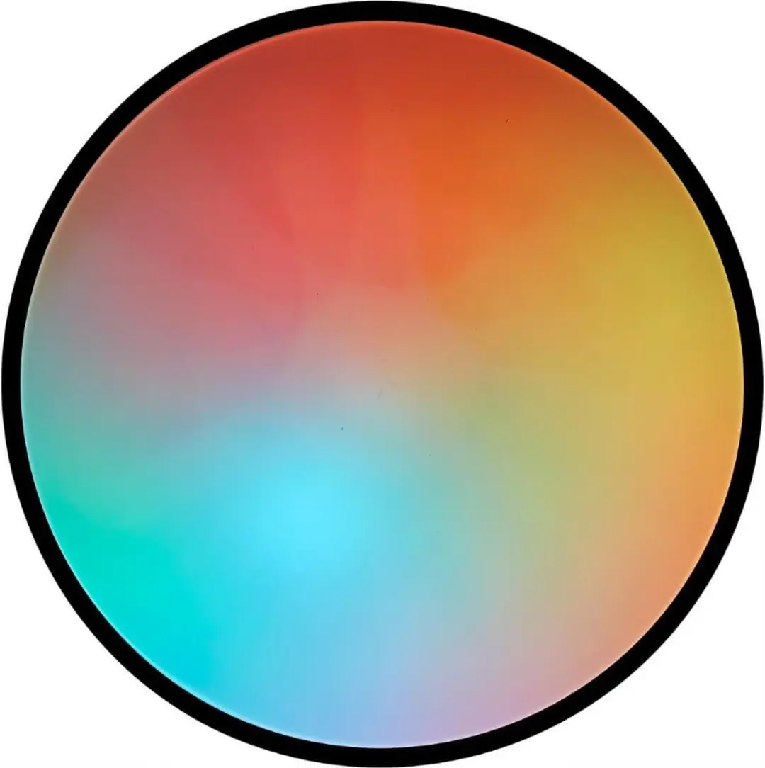 Brilliant Heida Plafondlamp RGB Ø49cm - Zwart