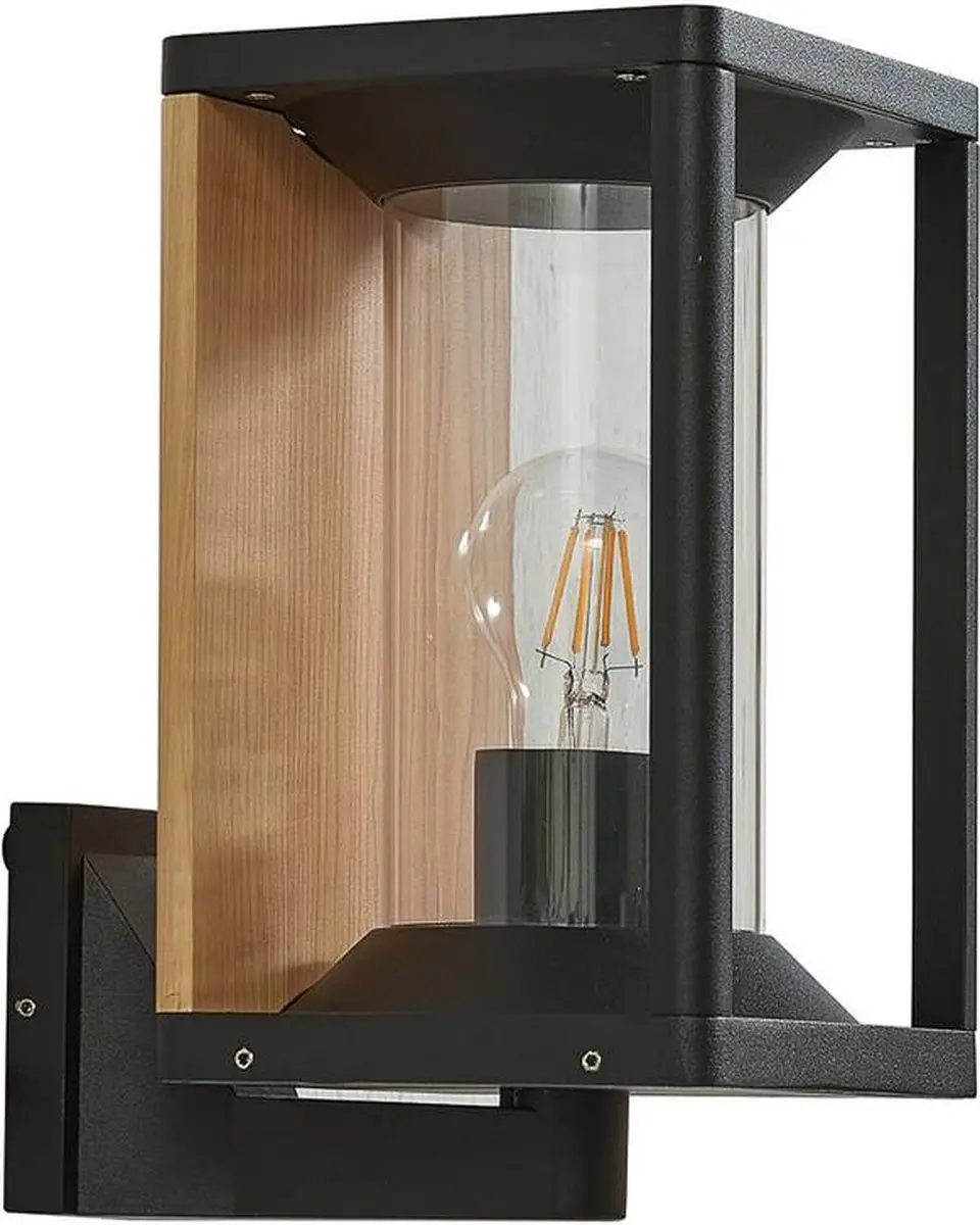 Lucande Wandlamp Buiten 1 Licht E27 - Zwart/Transparant