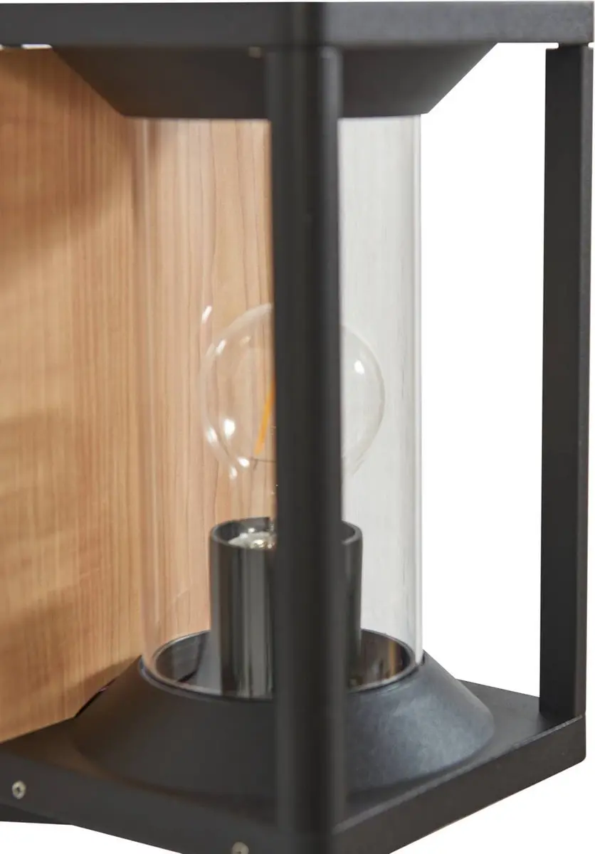 Lucande Wandlamp Buiten 1 Licht E27 - Zwart/Transparant