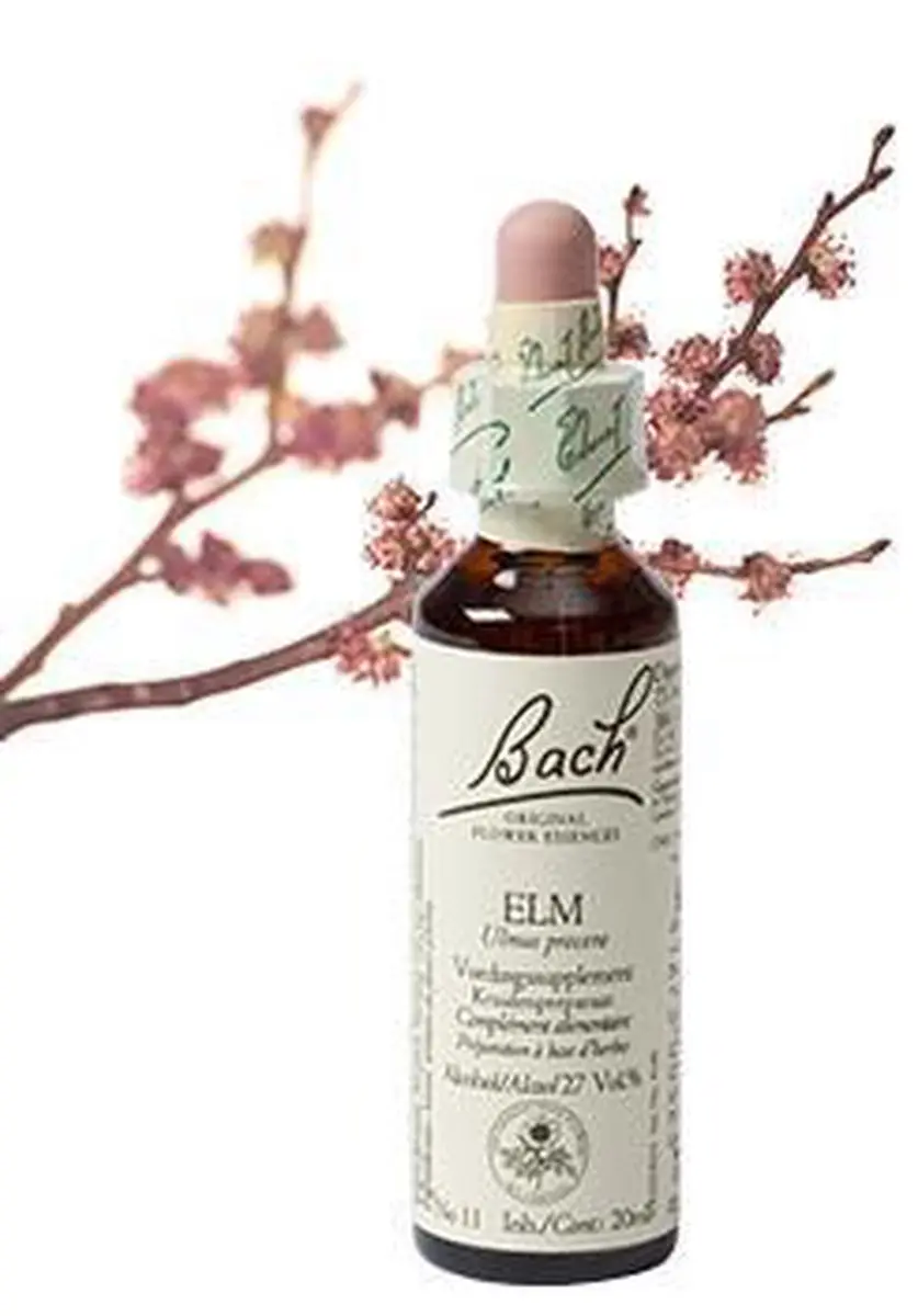 Bach Elm/Iep Bloessem Voedingssupplement 20ml