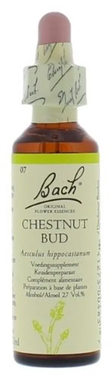 Bach Chestnut Bud Voedingssupplement 20ml