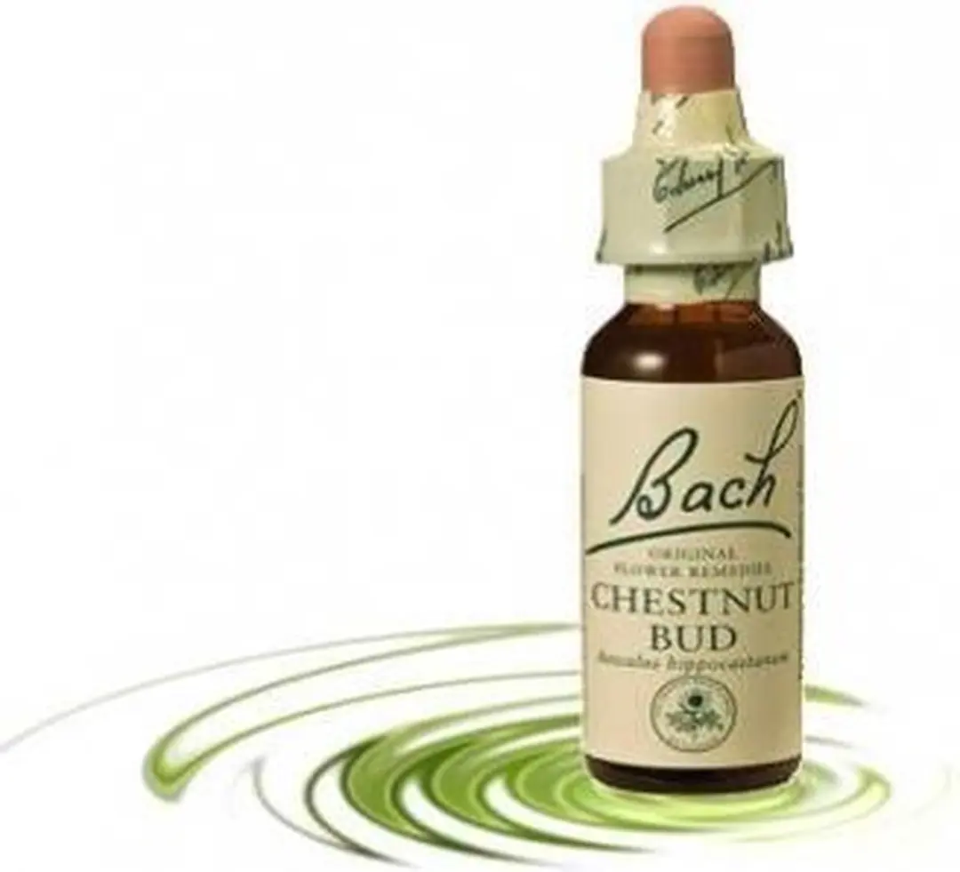 Bach Chestnut Bud Voedingssupplement 20ml
