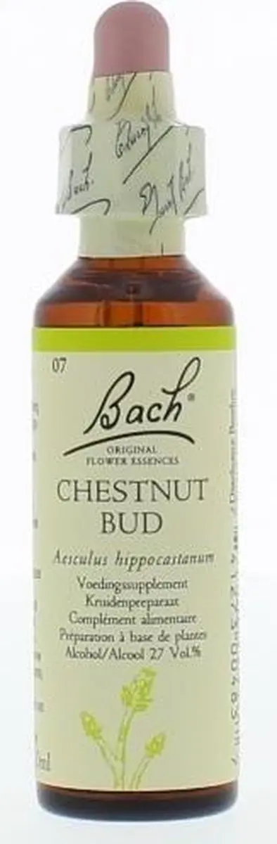 Bach Chestnut Bud Voedingssupplement 20ml - afbeelding 6 van 6
