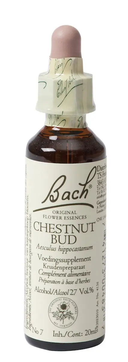 Bach Chestnut Bud Voedingssupplement 20ml