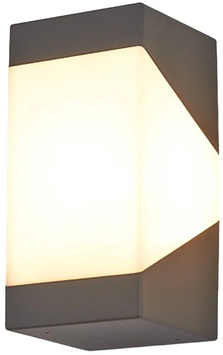 Lucande Wandlamp Buiten 1 Licht E27 Grafietgrijs/Opaalwit