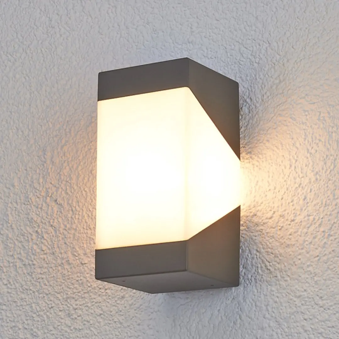 Lucande Wandlamp Buiten 1 Licht E27 Grafietgrijs/Opaalwit