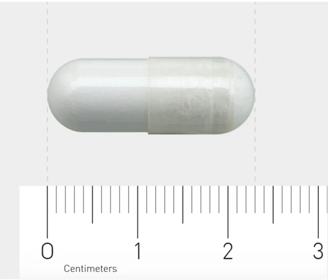 Orthica L-Tyrosine 500 - 60 Capsules