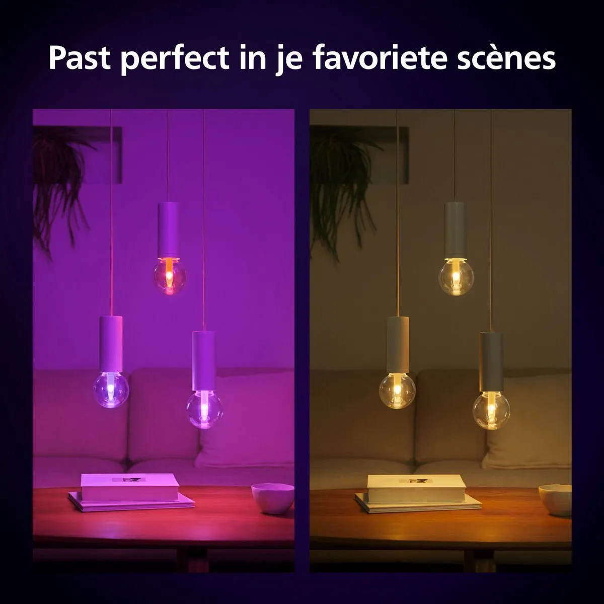 Philips Hue Lightguide Hanglamp Zwart - E27 RGBW