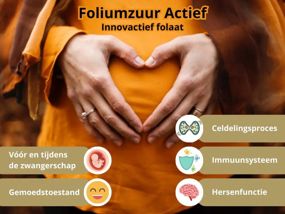 Golden Naturals Foliumzuur Actief 90 Veganistische Tabletten