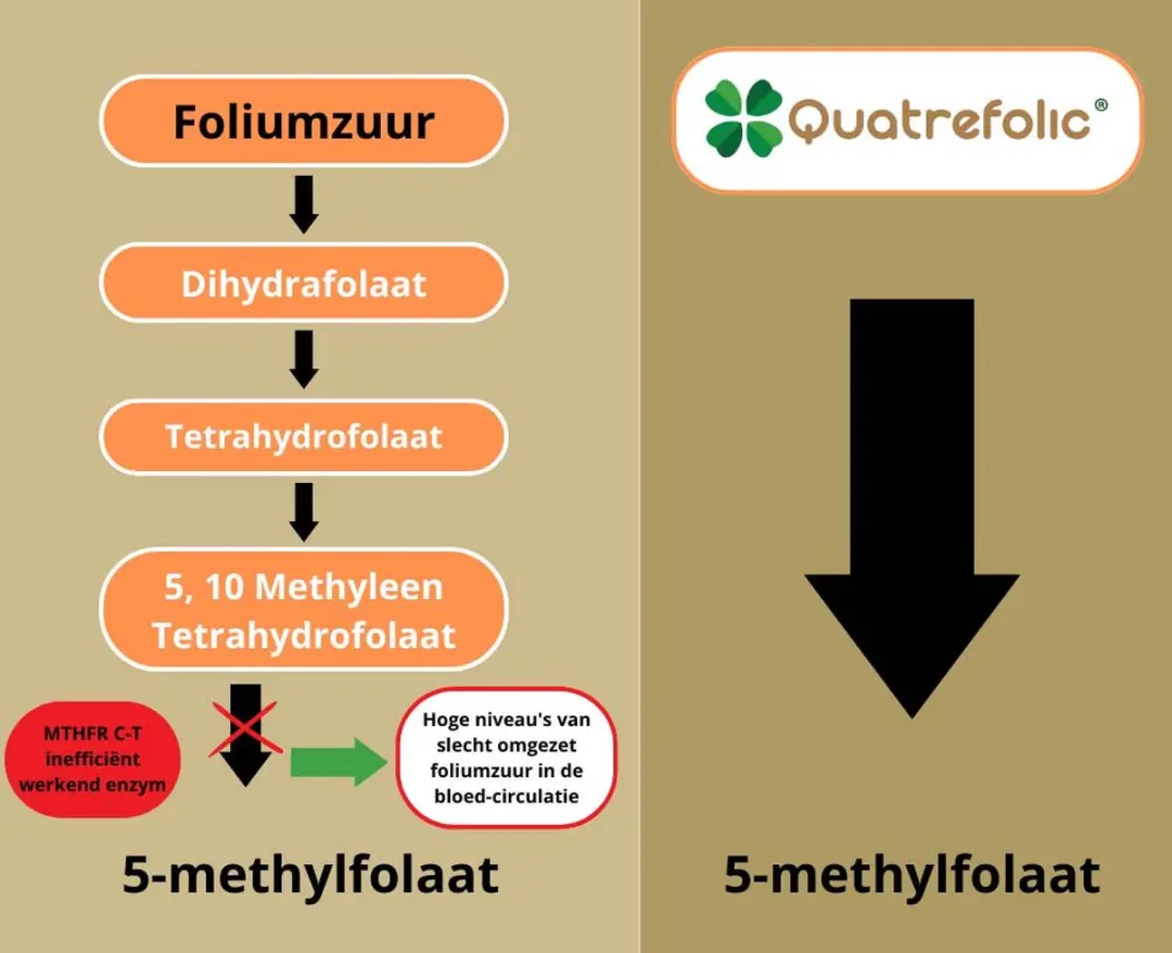 Golden Naturals Foliumzuur Actief 90 Veganistische Tabletten