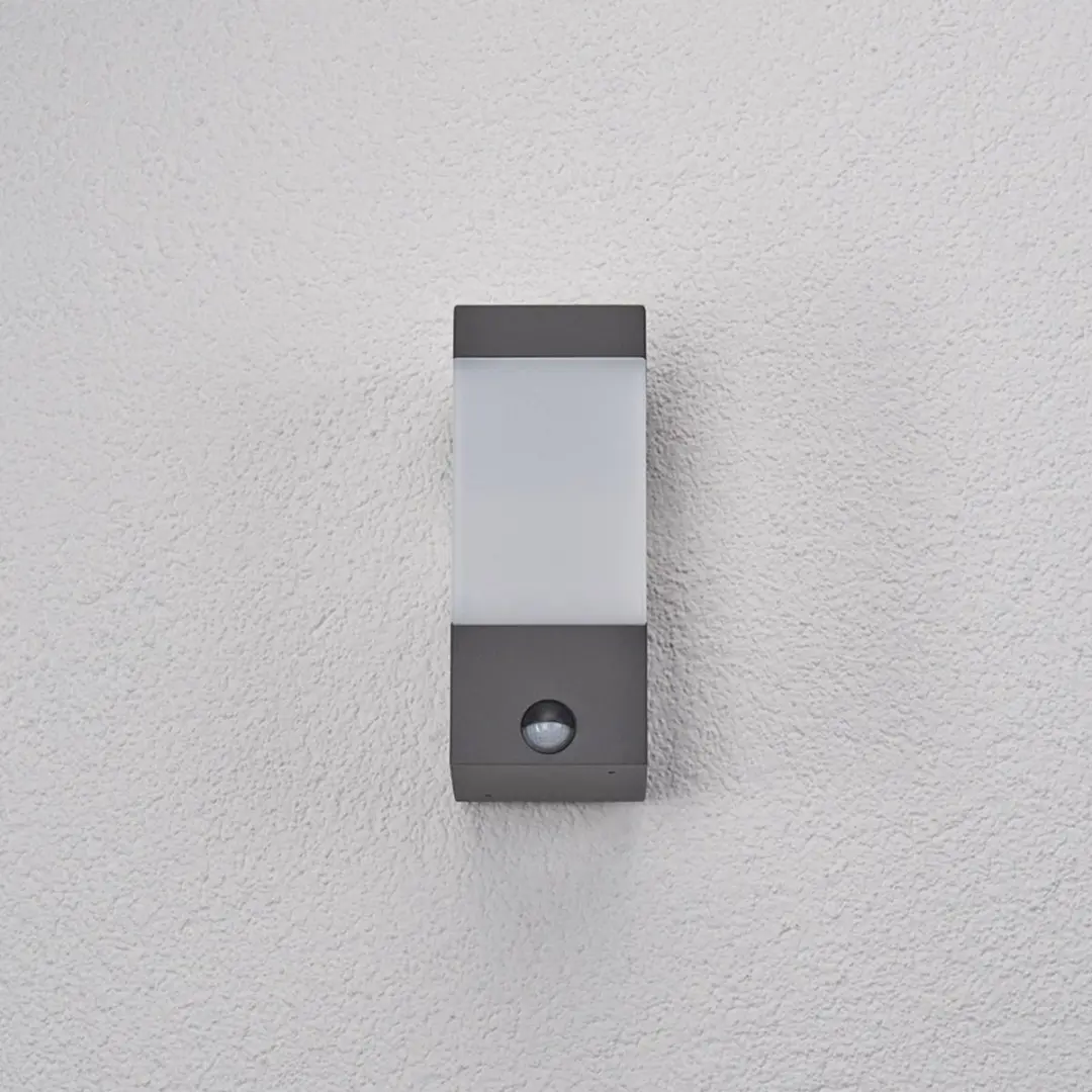 Lucande Wandlamp Buiten 1 Licht E27 Grafietgrijs/Opaalwit