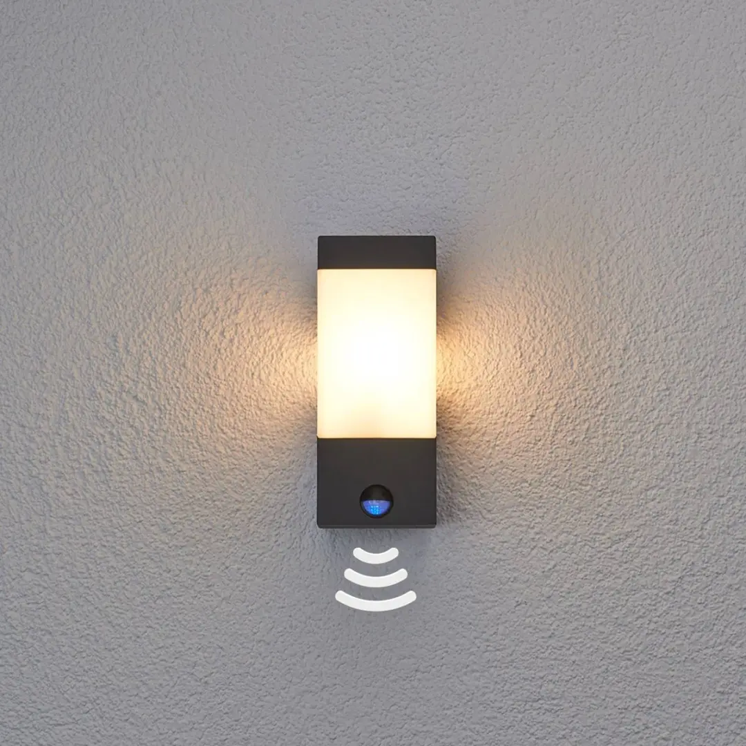 Lucande Wandlamp Buiten 1 Licht E27 Grafietgrijs/Opaalwit