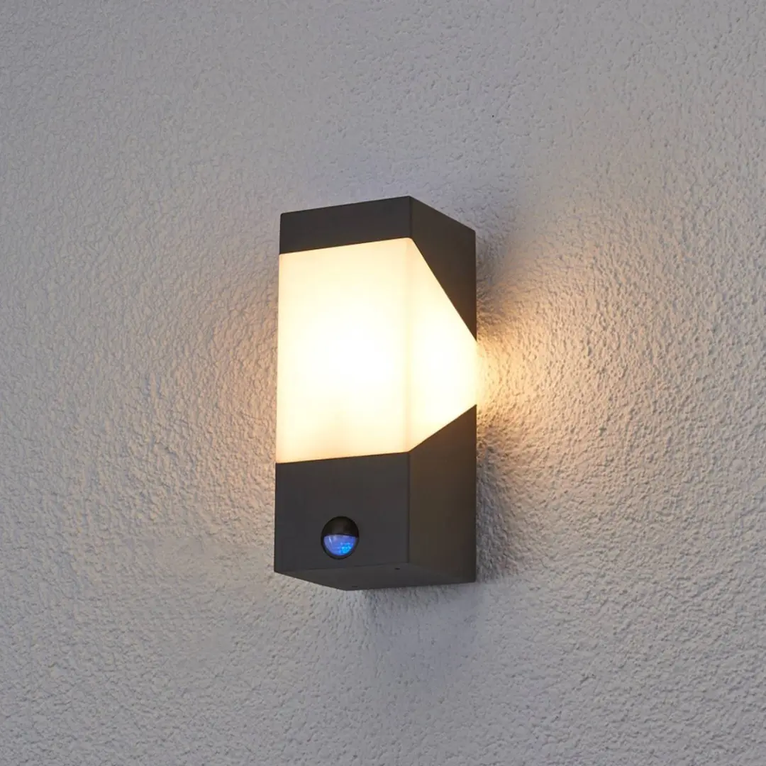 Lucande Wandlamp Buiten 1 Licht E27 Grafietgrijs/Opaalwit